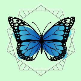 Blue butterfly logo